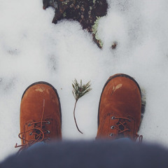 Beacon Hill (Damien Jurado Cover)