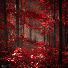 Crimson Forest (Balance OST)