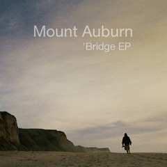 01 - Mount Auburn - 'Bridge EP - Something New