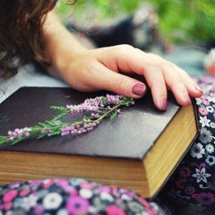 علاء عبدالخالق - مرسال