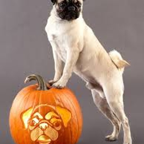Smashing Pumpkins - Pug ( Cover )