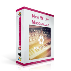 Navi Retlav - Moogstalgy - Combinators