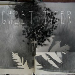BirdFeeder - Ghost Tiger