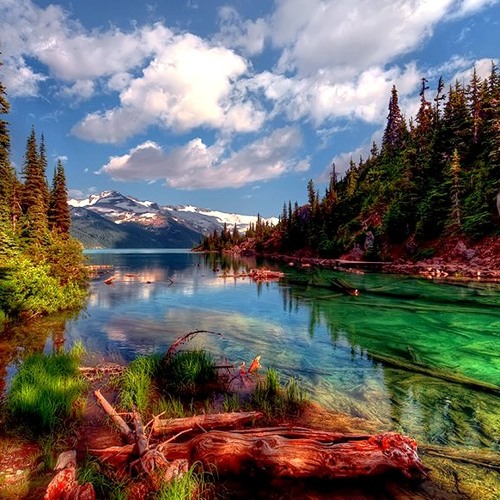 Takut Amalia Alias By Lara