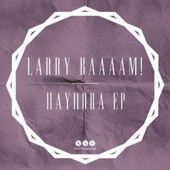 Larry BAAAAM! - Hayhora EP / 040 Recordings / !!!!OUT NOW!!!!