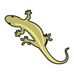 Lagartija