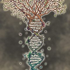 Elements 5 - Elementree (Demo)