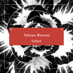 Adrian Barron - I Don't Mind (Original) (excerpt)