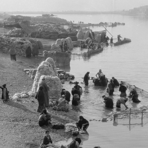 Stream Environmental History of the Middle East Debates, Themes, and