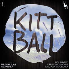 1. Wild Culture feat Josh Savage - Faith (Nico Pusch Remix)[KITT]