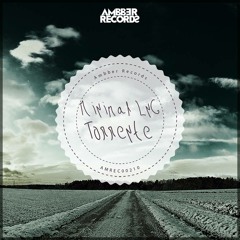 Torrente (original Mix)