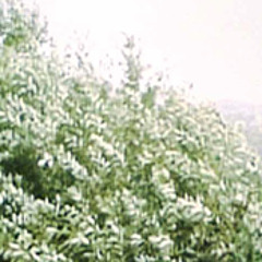 "Historia" from the new album "Building Instrument" out March 7th 2014