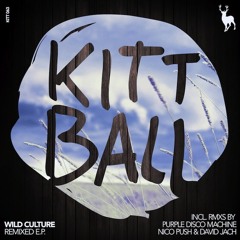 WILD CULTURE, JULIET SIKORA - IN YOU (PURPLE DISCO MACHINE REMIX)// 27.03.14