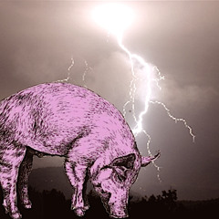 돼지번개 - DiaDem, STAND, Black2shit