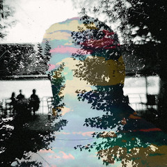 Plastic Flowers - Gone Wrong