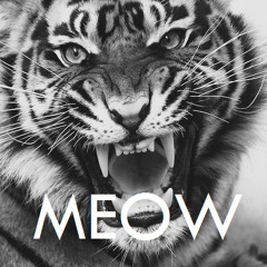 JUNGLE HOUSE - MEOW (DJ JALIL Z)