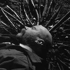 Emission n°2 Where Does He Work ? Ft Gérard de Roubaix