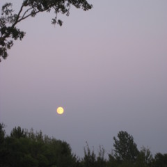 Department of Death Theme - Version 2: Ballad