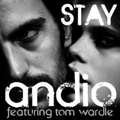 Stay (feat. Tom Wardle) Original Radio Edit