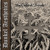 Artwork for Dunkel Aesthetics - 27 Divizia