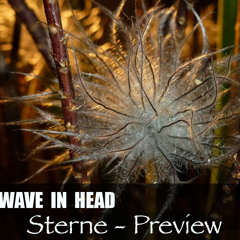 Sterne - Radio Edit co-produced by People Theatre -Preview Cut