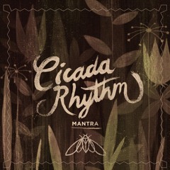 cicada rhythm