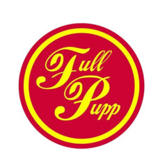 Prins Thomas - Tamburin Full Pupp Promomiks November 2003 (500 LIMITED DOWNLOADS)
