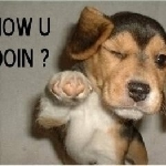 Headhunterz - From Within (Adrenalize Remix)(Full)