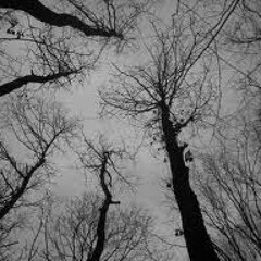 The Horror of Our Love