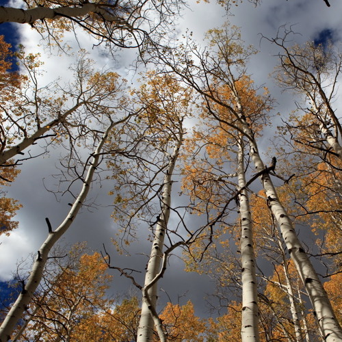 Aaj Wohi Geeton, Pankaj Udhas