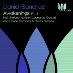 DANIEL SANCHEZ - AWAKENINGS - LEONARDO GONNELLI REMIX