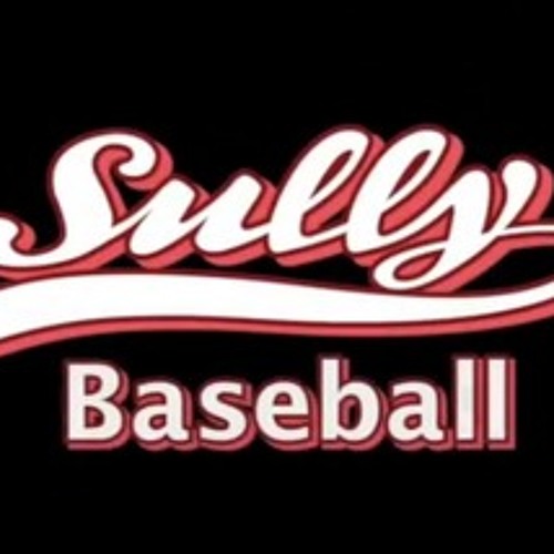 Watch sully shop online