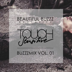 BUZZZMIX VOL. 1 - TOUCH SENSITIVE