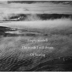 Old Dreams Remembered [Naviarhaiku - Empty Seashell]