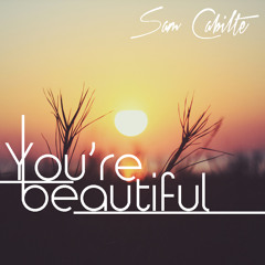 You're Beautiful (Phil Wickham Cover)