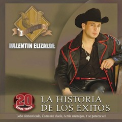 stream lt2112 listen to el gallo de oro playlist online for free on soundcloud