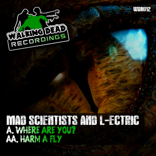 WDR017 02 MAD SCIENTISTS & L-ECTRIC - HARM A FLY (21/04/14)