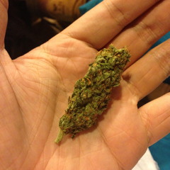 MONSTER P #BAKED2 MARCH 2014