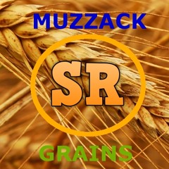 ¡Muzzack! - Grains (Original Mix) [Somethin' Records]