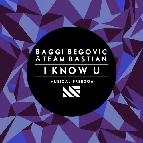 Baggi Begovic, Team Bastian - I Know U (Original Mix).mp3