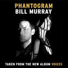Phantogram - Bill Murray (EVINRUDE Remix)