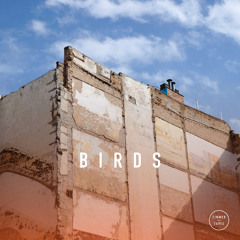 Zimmer - Birds | March 14 Tape