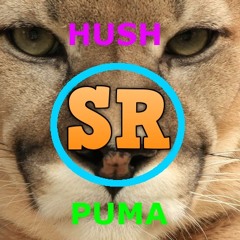 Puma (Original Mix)[Somethin' Records]