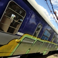 hal crew --- Capitulo 1