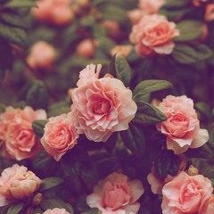Люби Меня, Люби - Алина Орлова