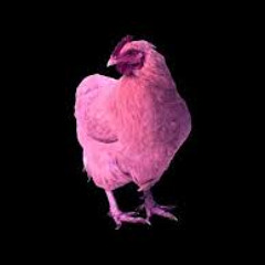 Techno and D&B Cross over (Wild cock)