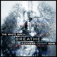 The White Birch - Breathe (Alexander Grimmer Remix)