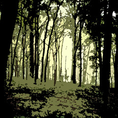 B. B Golding & Frederick Bird - Woodland Melody