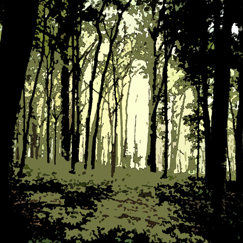 B. B Golding & Frederick Bird - Woodland Melody