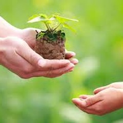 Echo Transmission - Thought I Was Helping